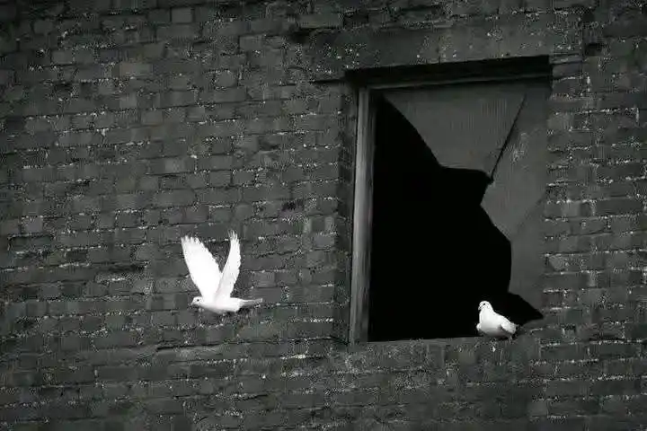 Urdu Designer - اُردو ڈیزائنر post