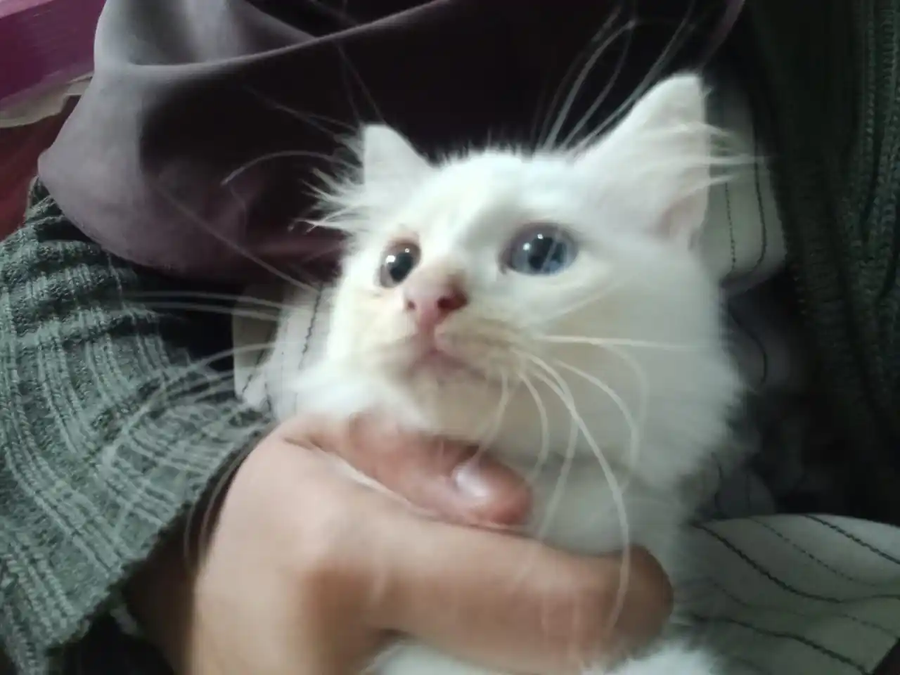 ★⋆ ˚the martini of b 🪩 post