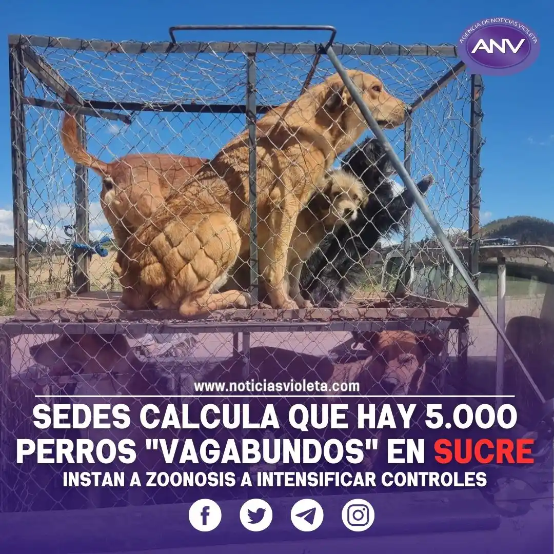 Agencia de Noticias Violeta post