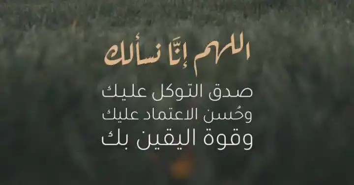أخوكم محمد السلوم post