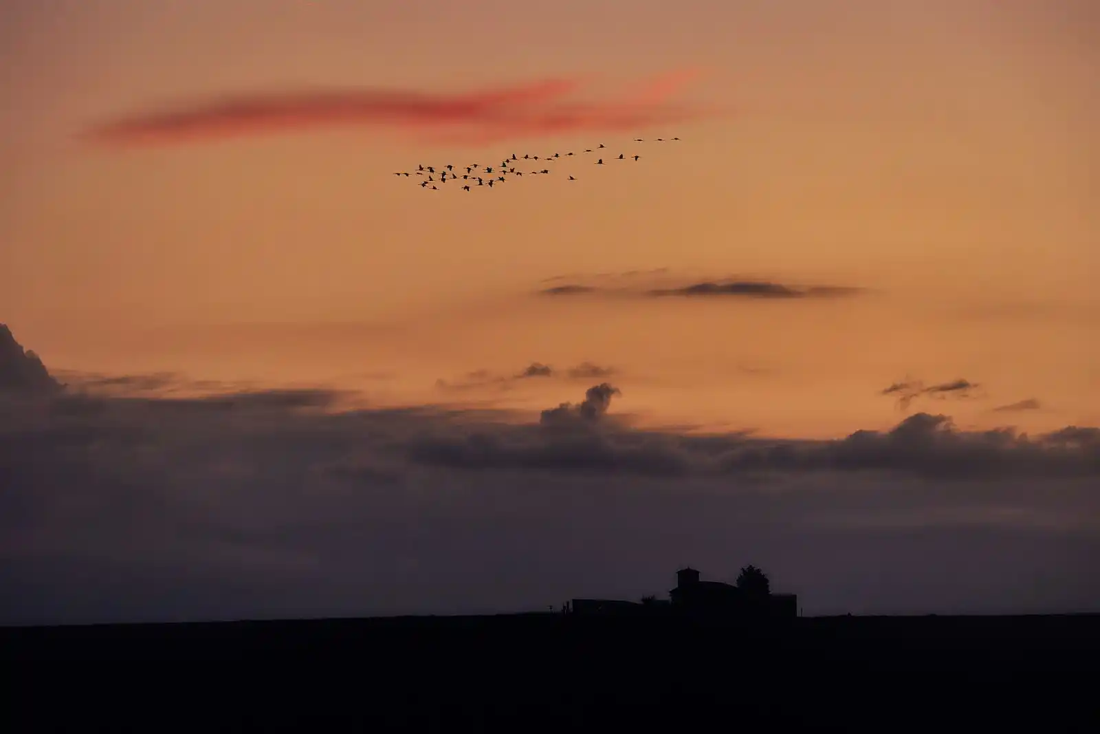 Image from ¡Aragonéate!: Los atardeceres en Gallocanta son un regalo para la vista, no me voy a...