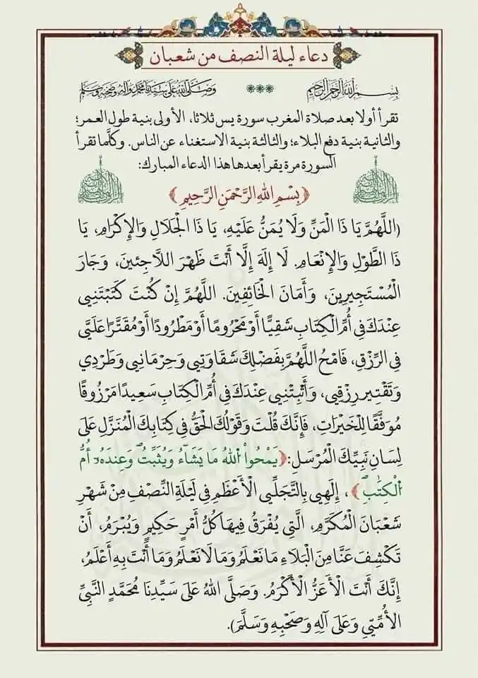 bin-Zain TV post