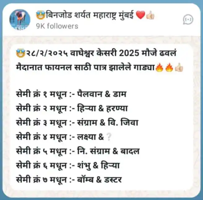 🤩बिनजोड शर्यत महाराष्ट्र मुंबई ❤️👍🏻 post