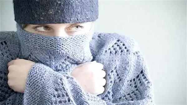 بوابة صيدا.. Saidagate.com post