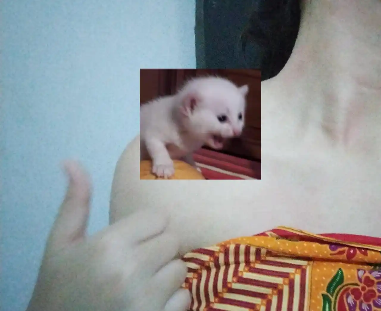 caliente de mami post