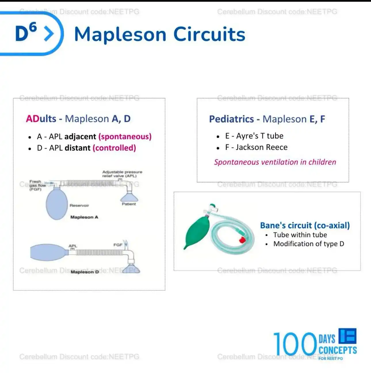Cerebellum academy  post