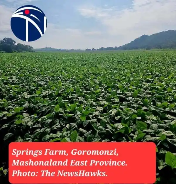 Image from Citizens Movement Radio: *Mnangagwa Ally In Land Grab Scandal* *_Billy Rautenbach Seizes Spri...