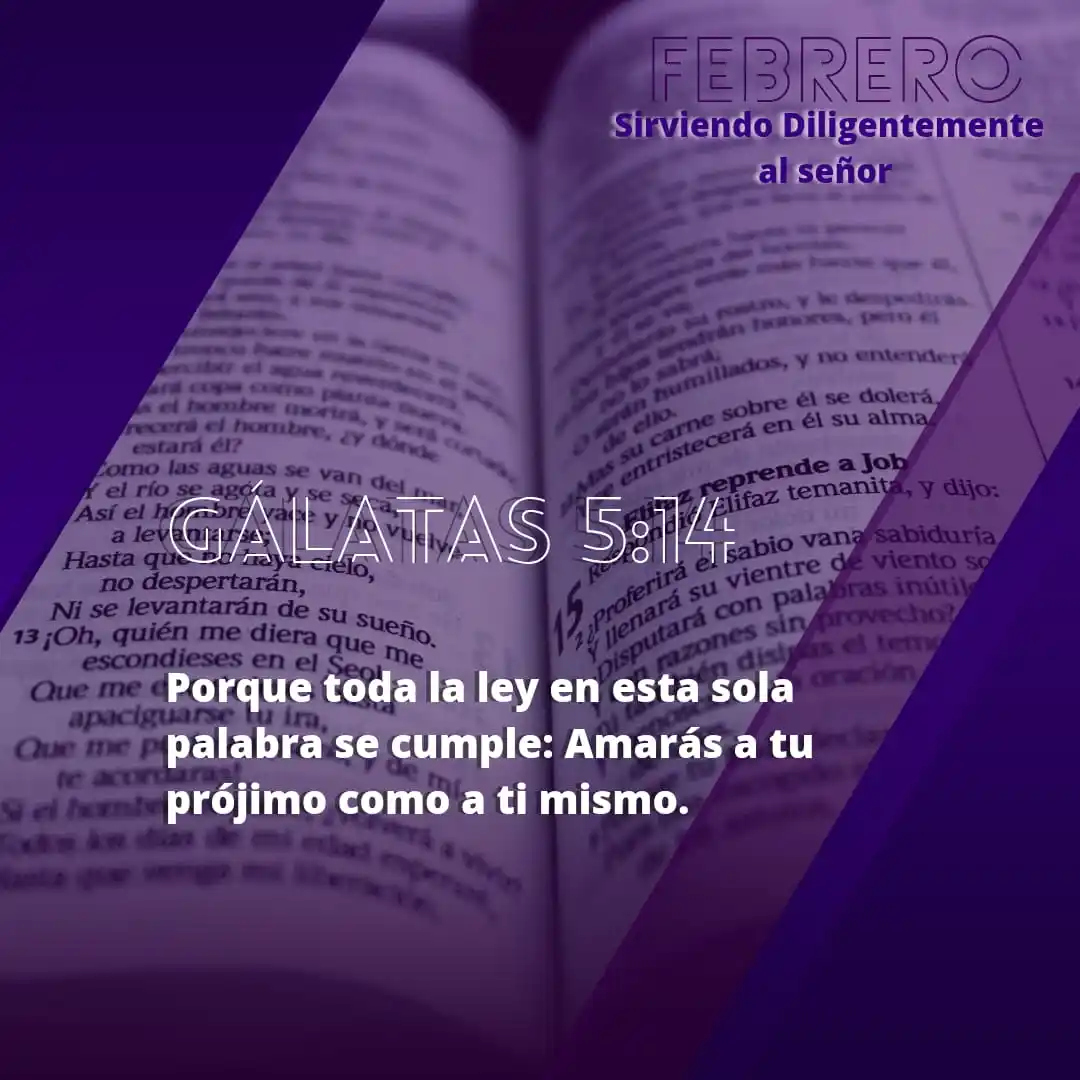 CONEXIÓN DIVINA post