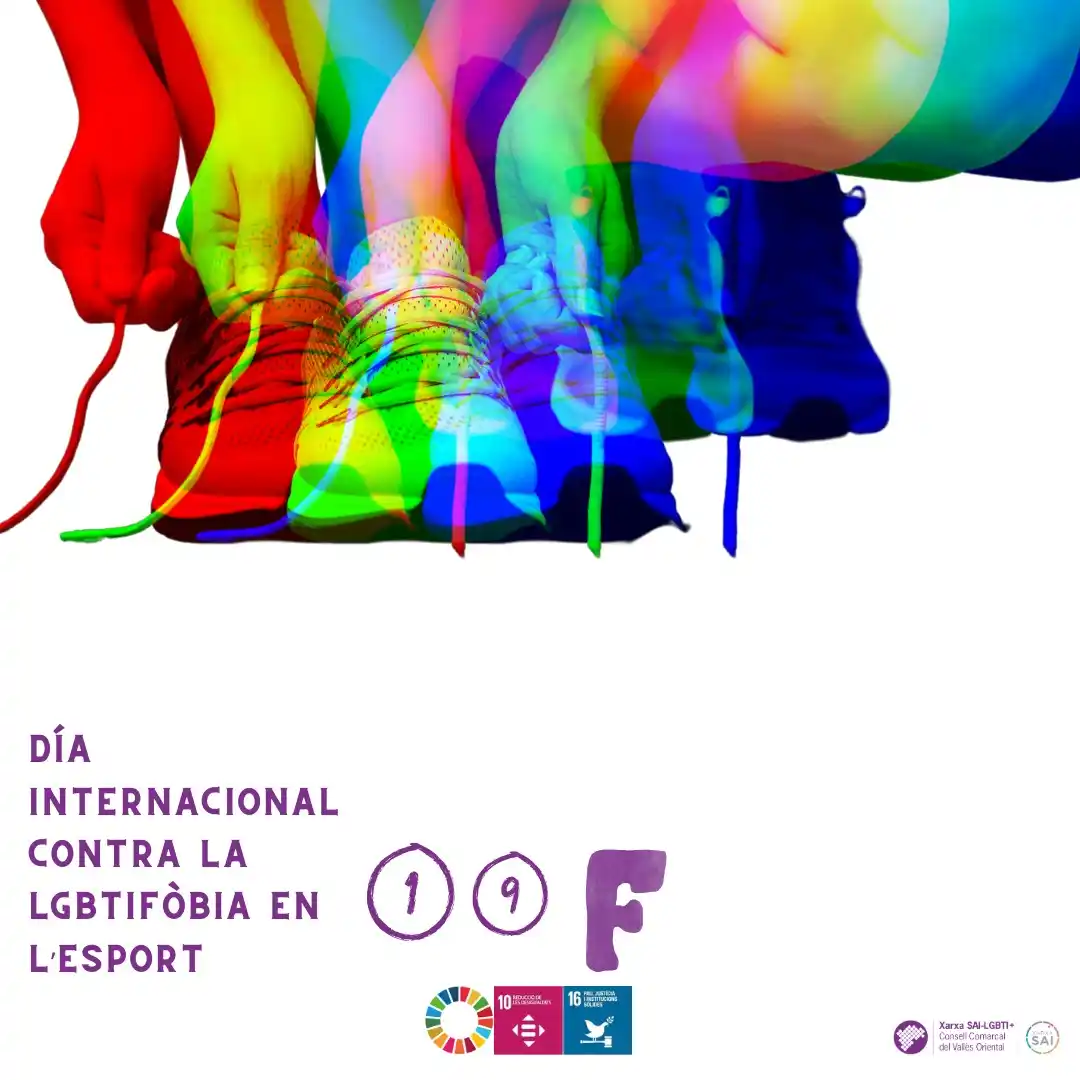 Image from Consell comarcal del Vallès Oriental: Bon dia. 🏳️🌈Avui, 19 de febrer, és el dia internacional contra la L...