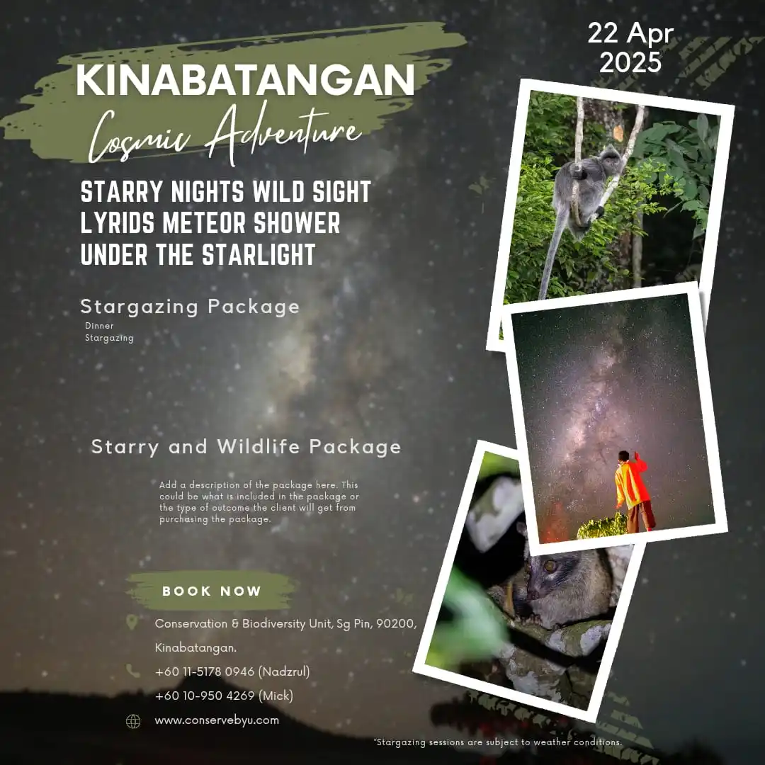 Dark Sky Malaysia post