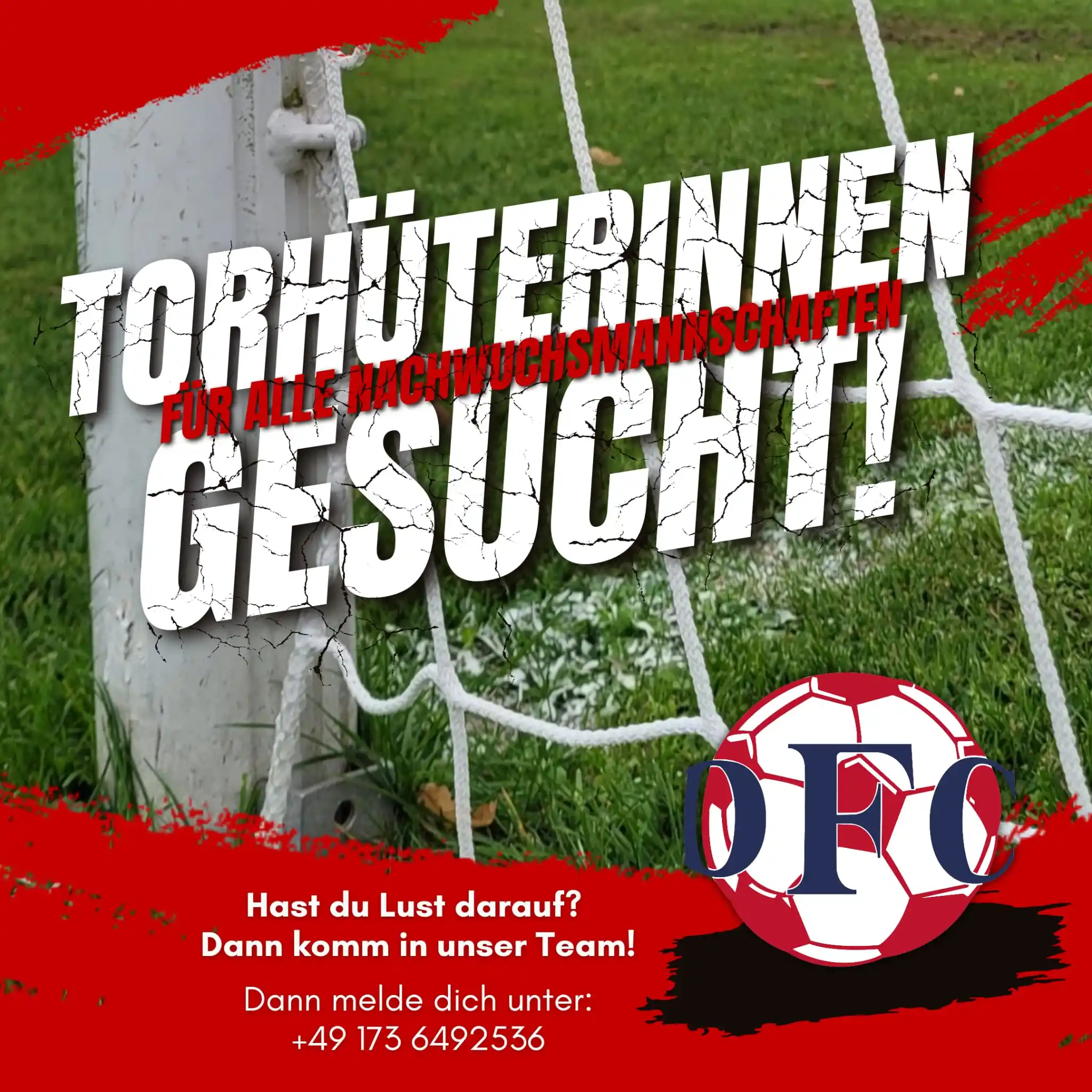 DFC Westsachsen Zwickau post