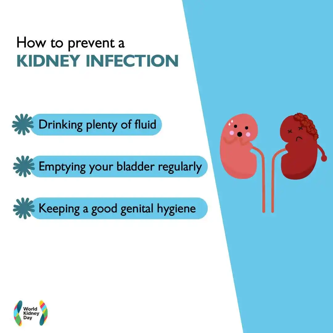 Image from Dialysis: A kidney infection is a painful condition often caused by a bladder in...