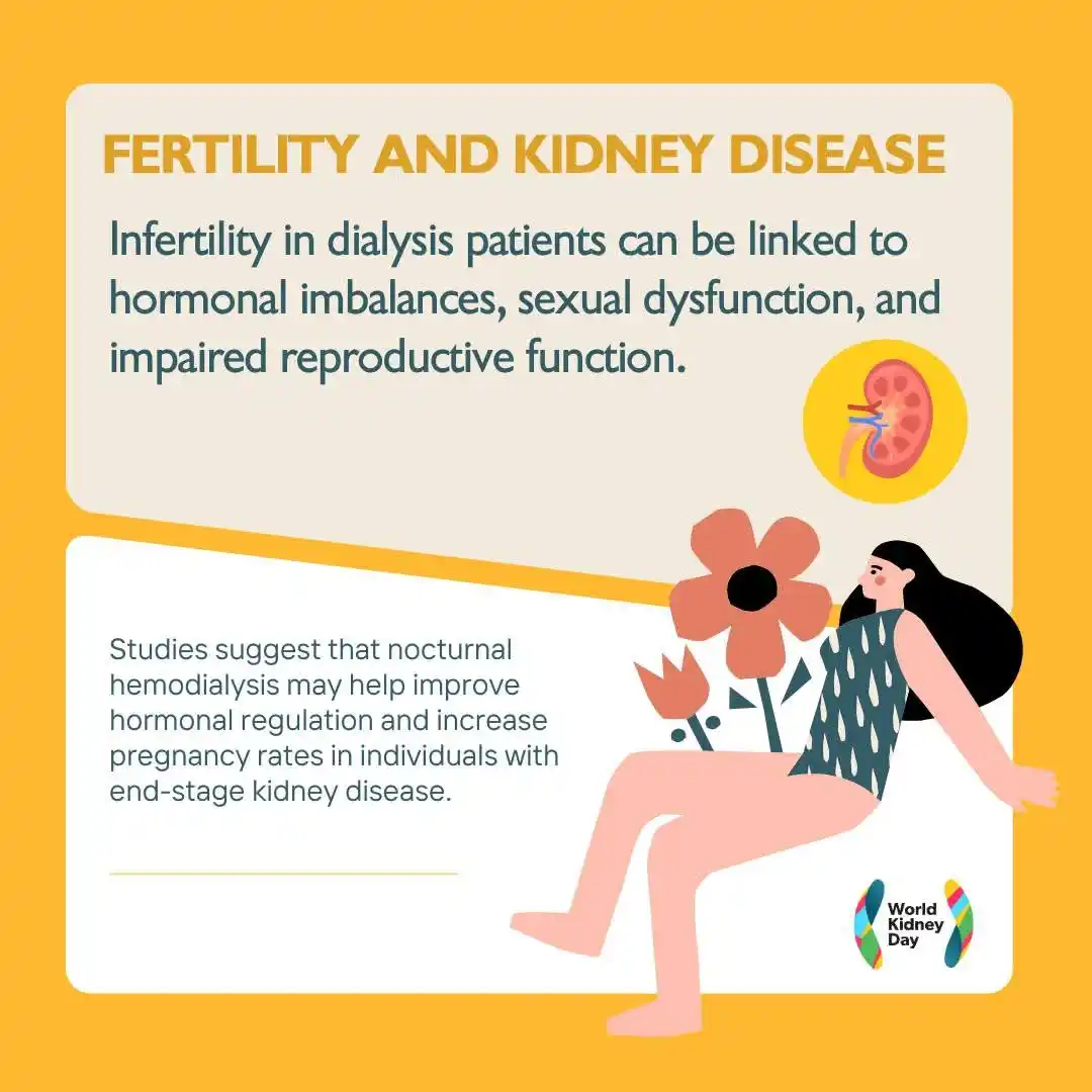 Image from Dialysis: Kidney disease can impact fertility due to hormonal imbalances and oth...