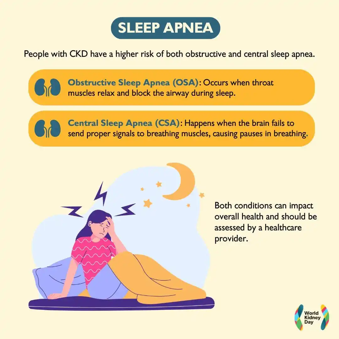 Image from Dialysis: Obstructive sleep apnea can accelerate kidney function decline, while ...