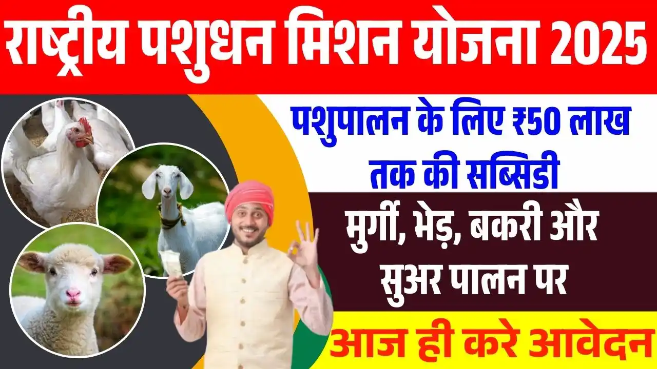 Image from Ds Helping Forever: ✅ *राष्ट्रीय पशुधन मिशन योजना 2025: पशुपालकों के लिए बड़ा अवसर!* 🐄🐏 ...