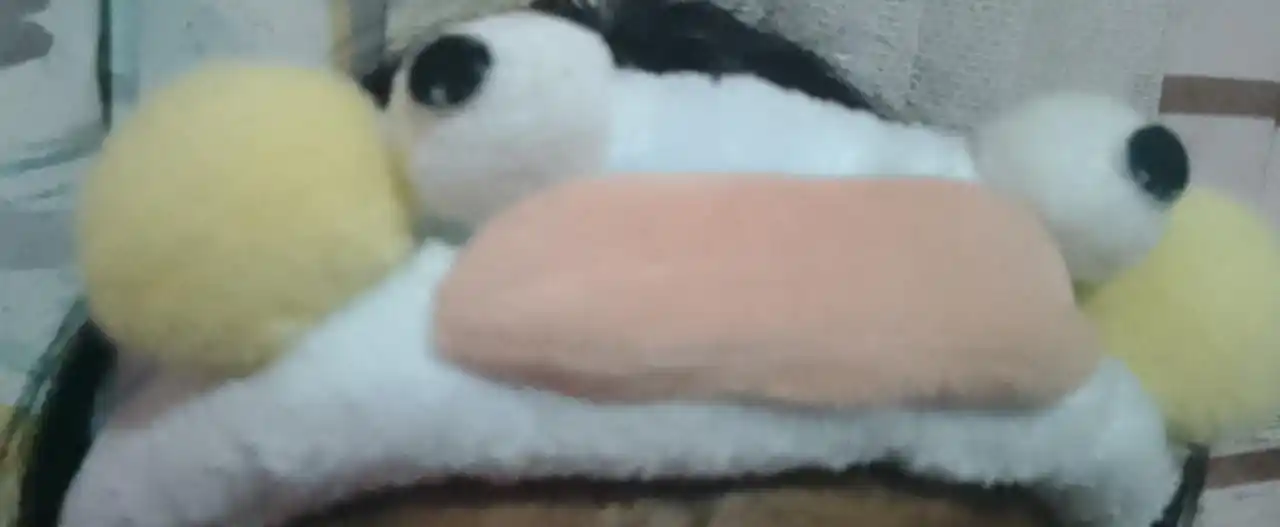 .•♫•♬• 𝐄𝐥𝐢𝐱𝐚𝐯𝐢 •♬•♫•. post