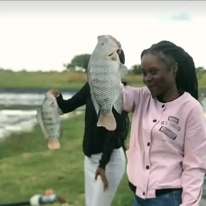 Image from Fish Farming business Department: *🇿🇼🇿🇼🇿🇼🇿🇼AQUA GLOBAL FISHERIES INTRODUCED NEW FISH FARMING PRO...