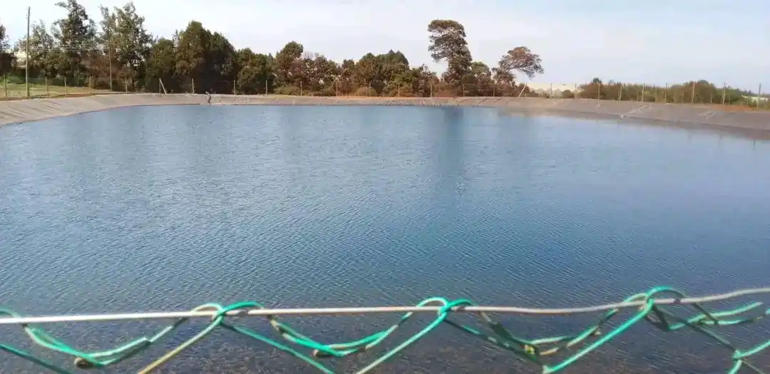Image from Fish Farming business Department: 1 Easy Step to Earn More as a Fish Farmer: Cut Your Losses and Focus o...
