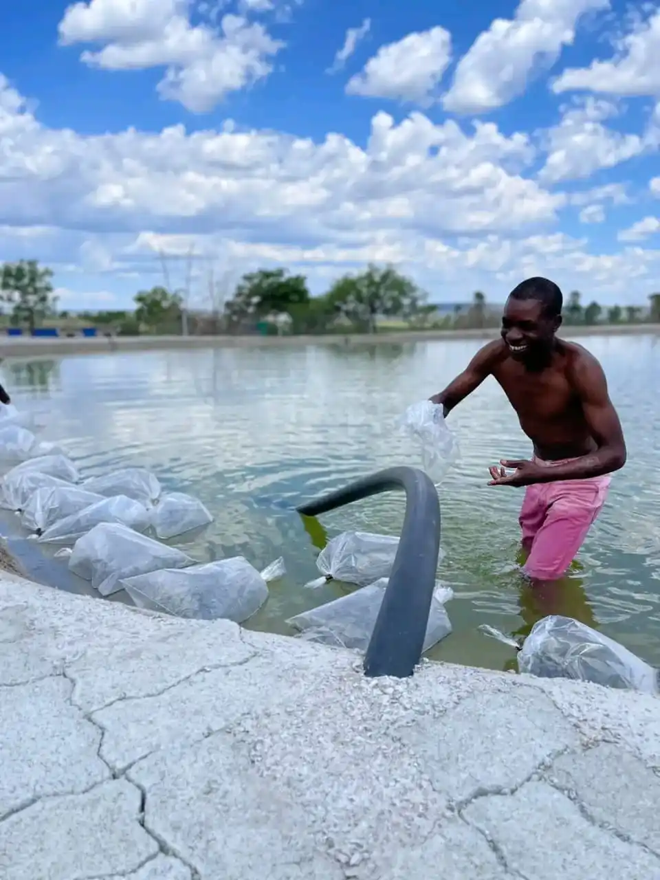 Image from Fish Farming business Department: Fish farming has never been this affordable !! We bring you all fish f...