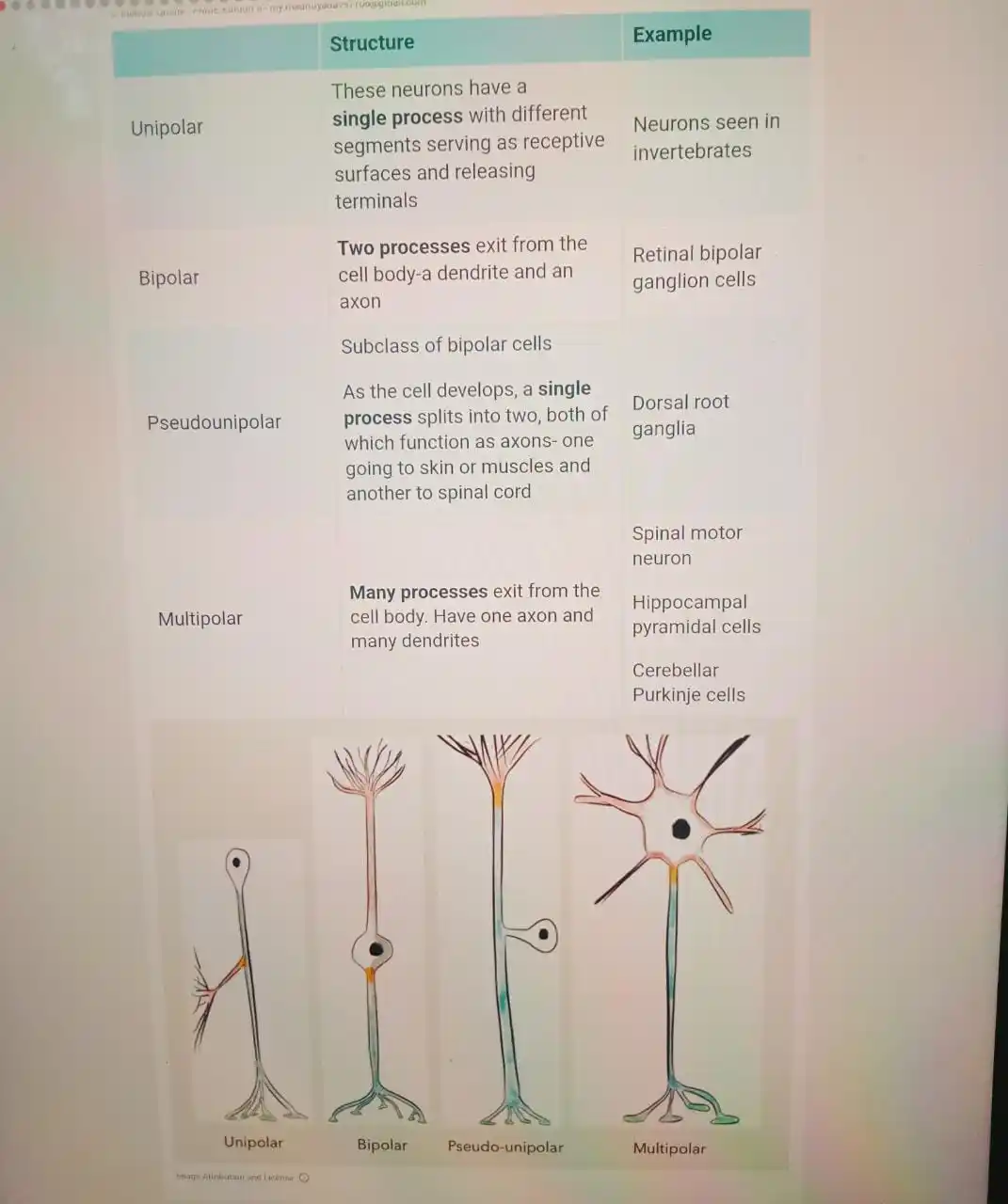 FMGE Most Expected Topic (Imp.PYT) post