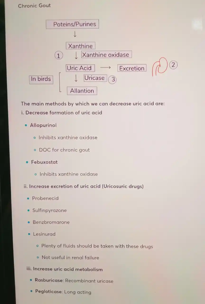 FMGE Most Expected Topic (Imp.PYT) post