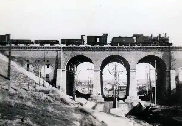 Gato por Madrid 😺 post