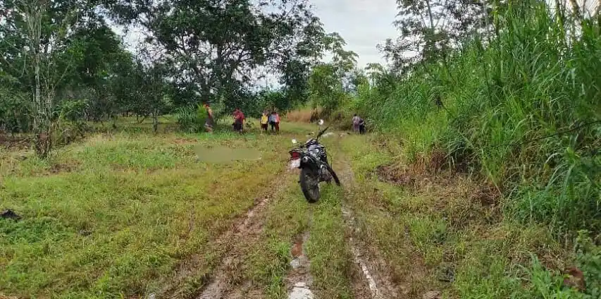 Image from Grupo Hemisférico: *Macabro hallazgo en Los Ríos: cuatro personas asesinadas con machetes...
