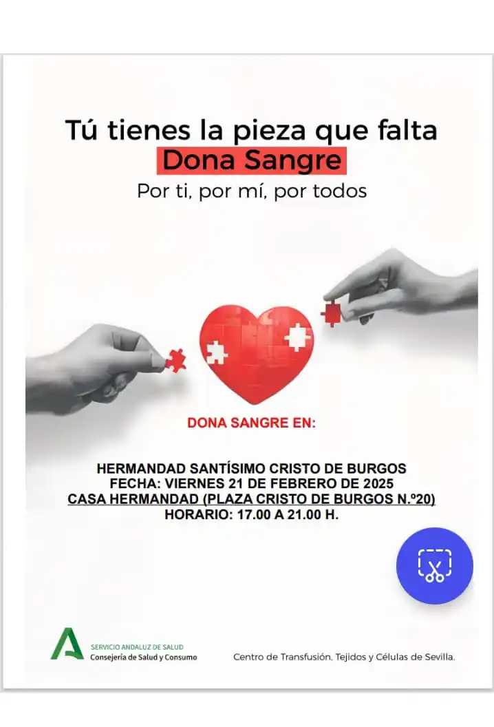 Hermandad del Cristo de Burgos Sevilla post
