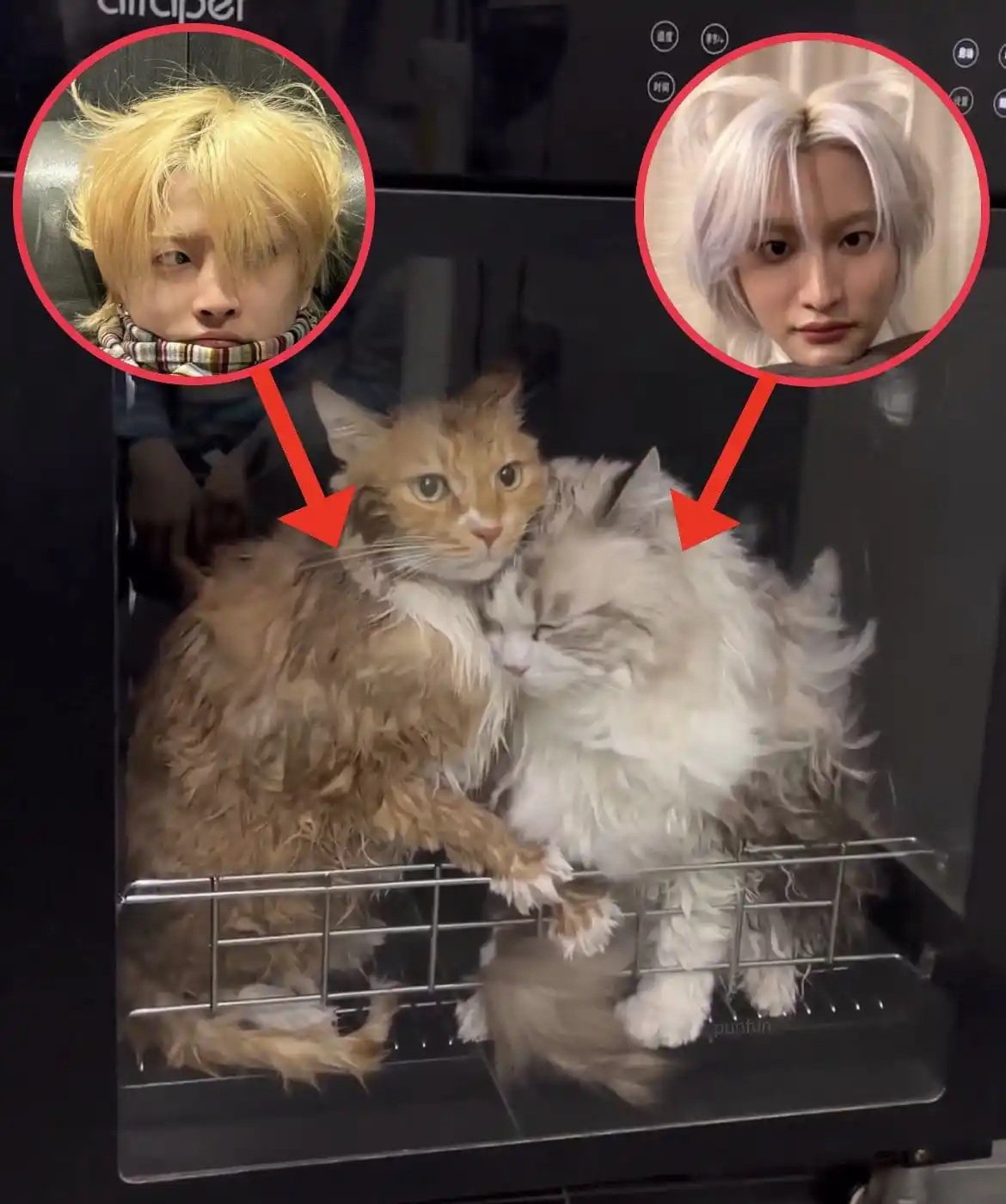 Historias de 8 piratas homosexuales (fics y au's) post