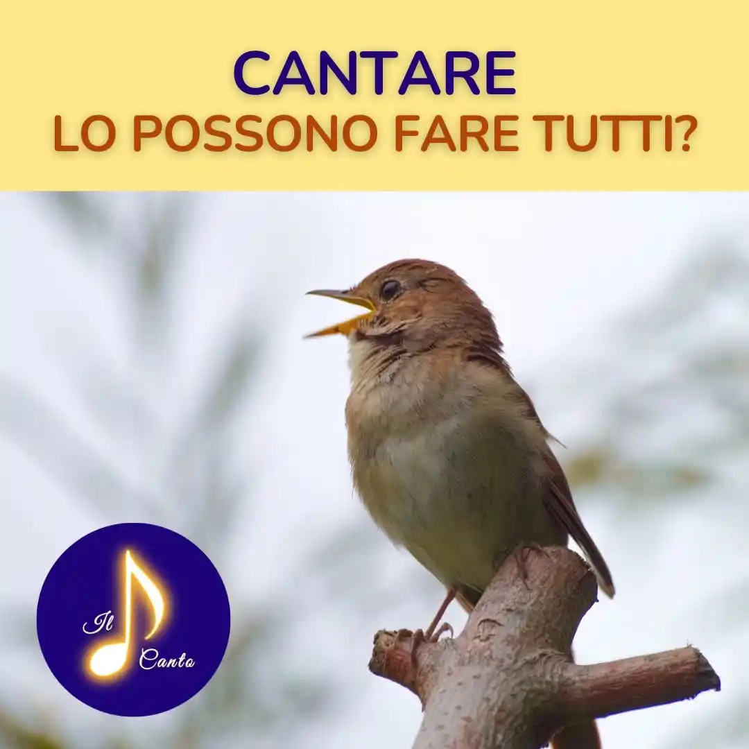 IL CANTO di Elena Pontini post