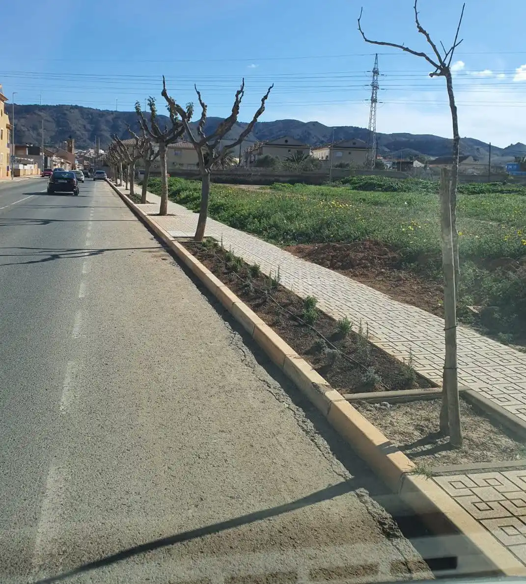 Información Ayuntamiento de La Unión post