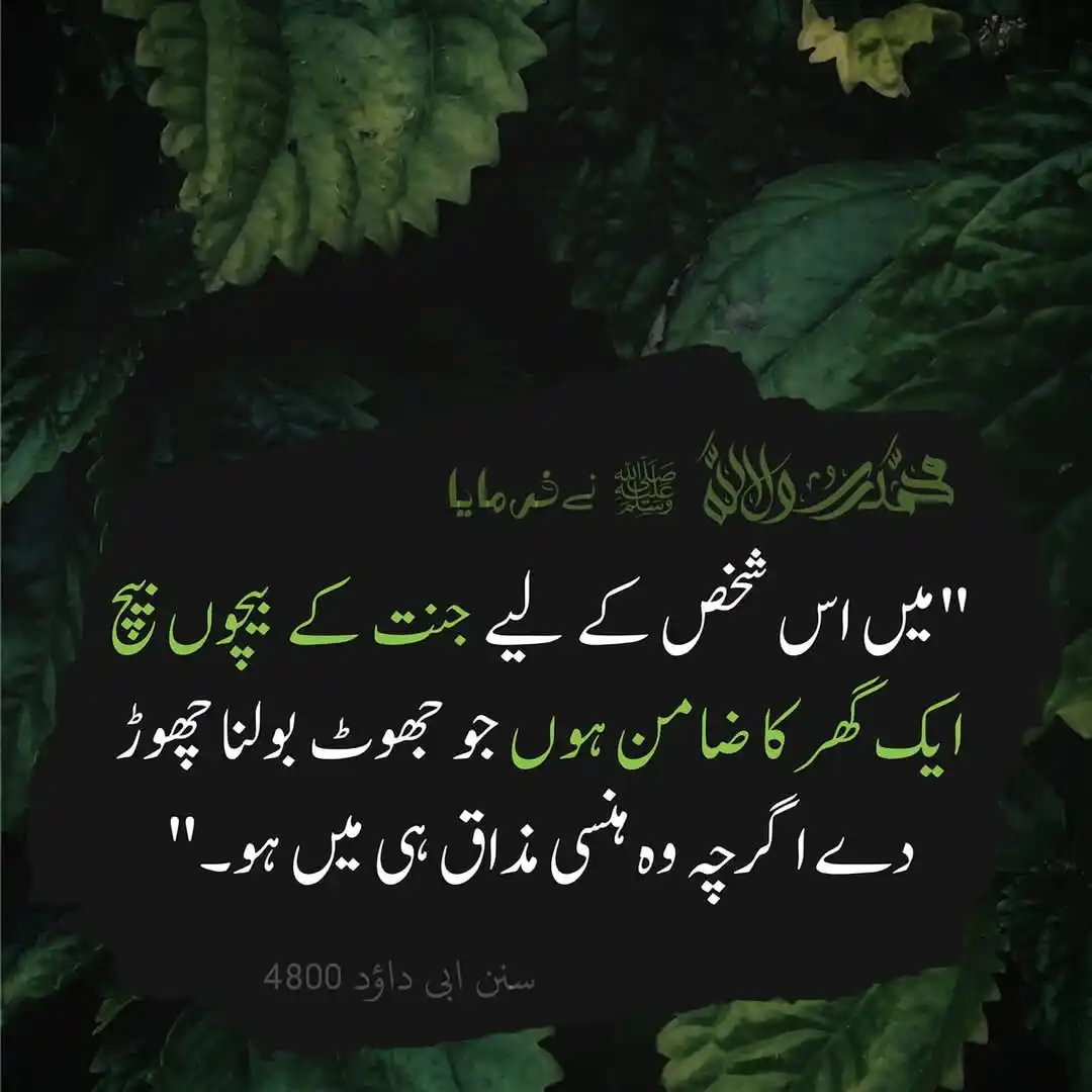 Islamic Guidance post