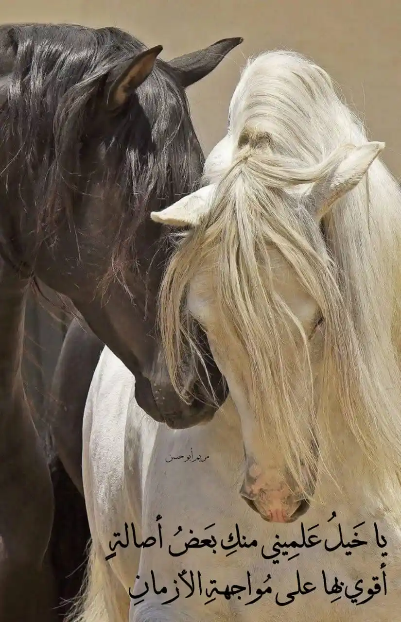 خلاب |💛🌿 post