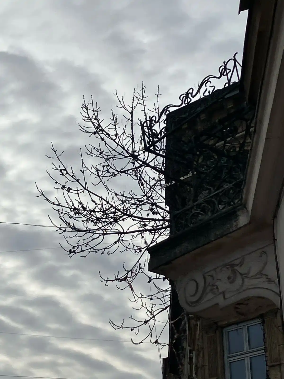 📗Книжкові лабіринти📗 post
