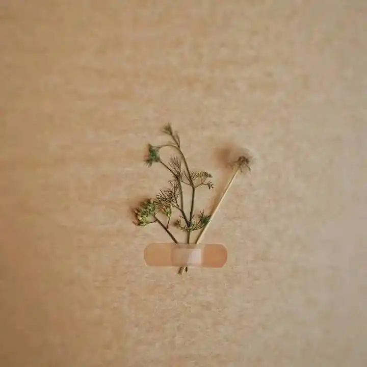 قطوف السلف🤍🌸 post