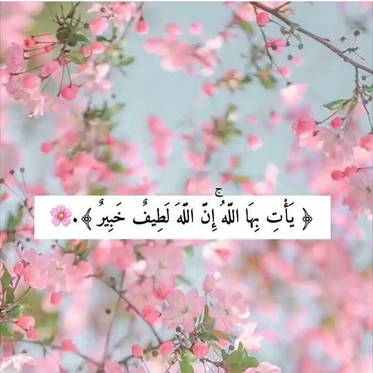 قطوف السلف🤍🌸 post