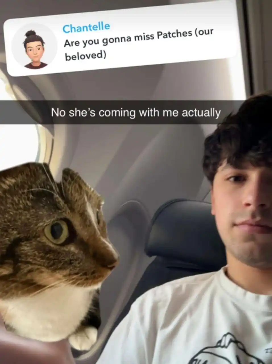 La Secta de Dream 👾 post