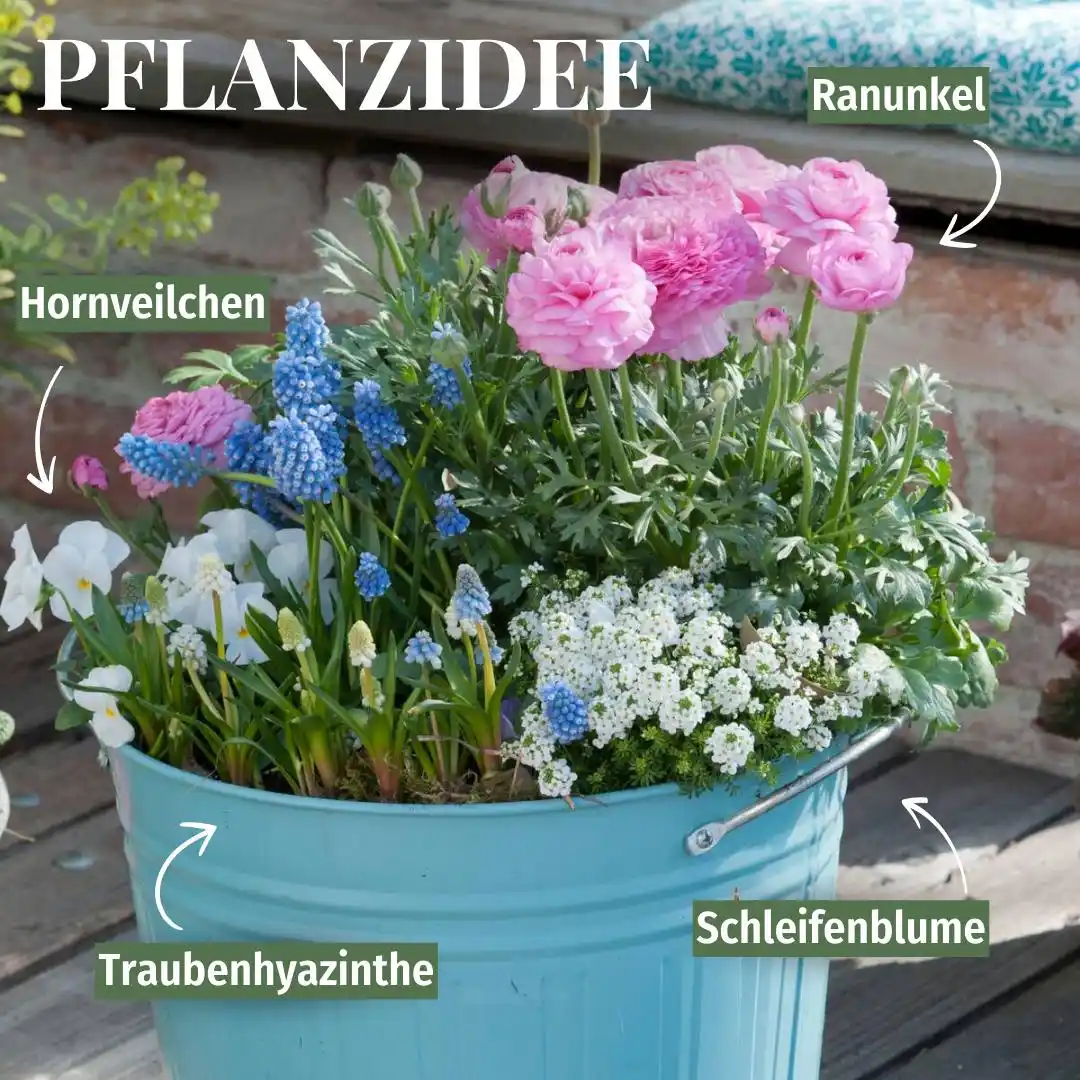 Mein schöner Garten Shop  post