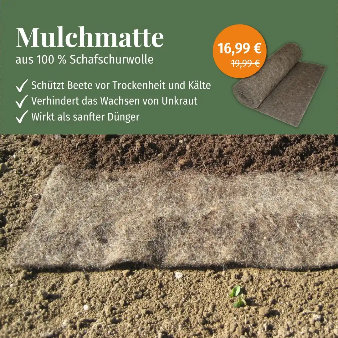 Mein schöner Garten Shop  post