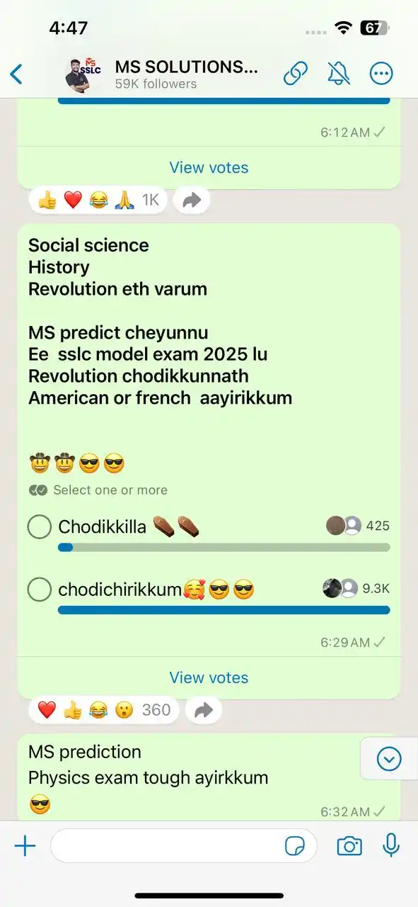 MS SOLUTIONS +1 post