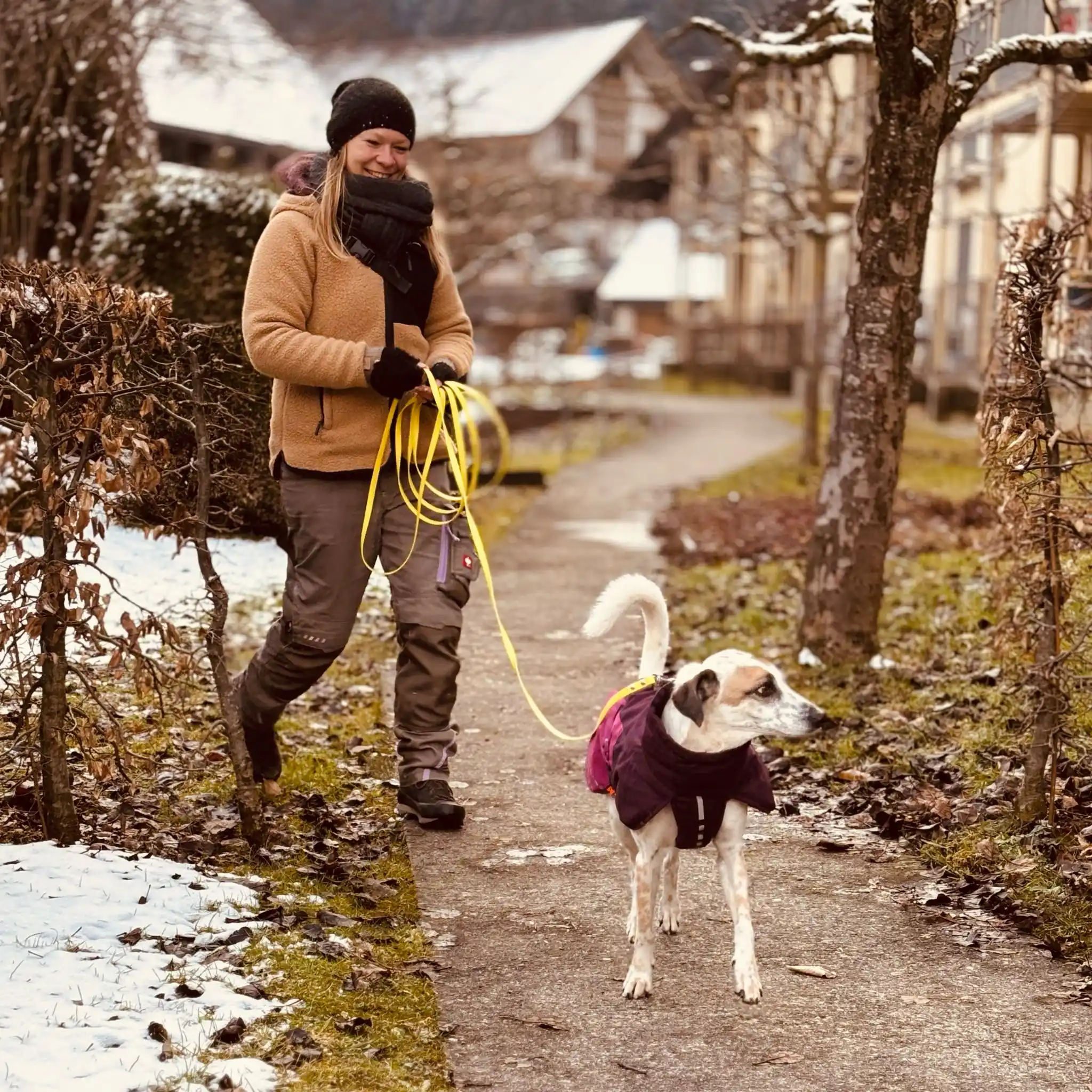 Natürlich-Hund post