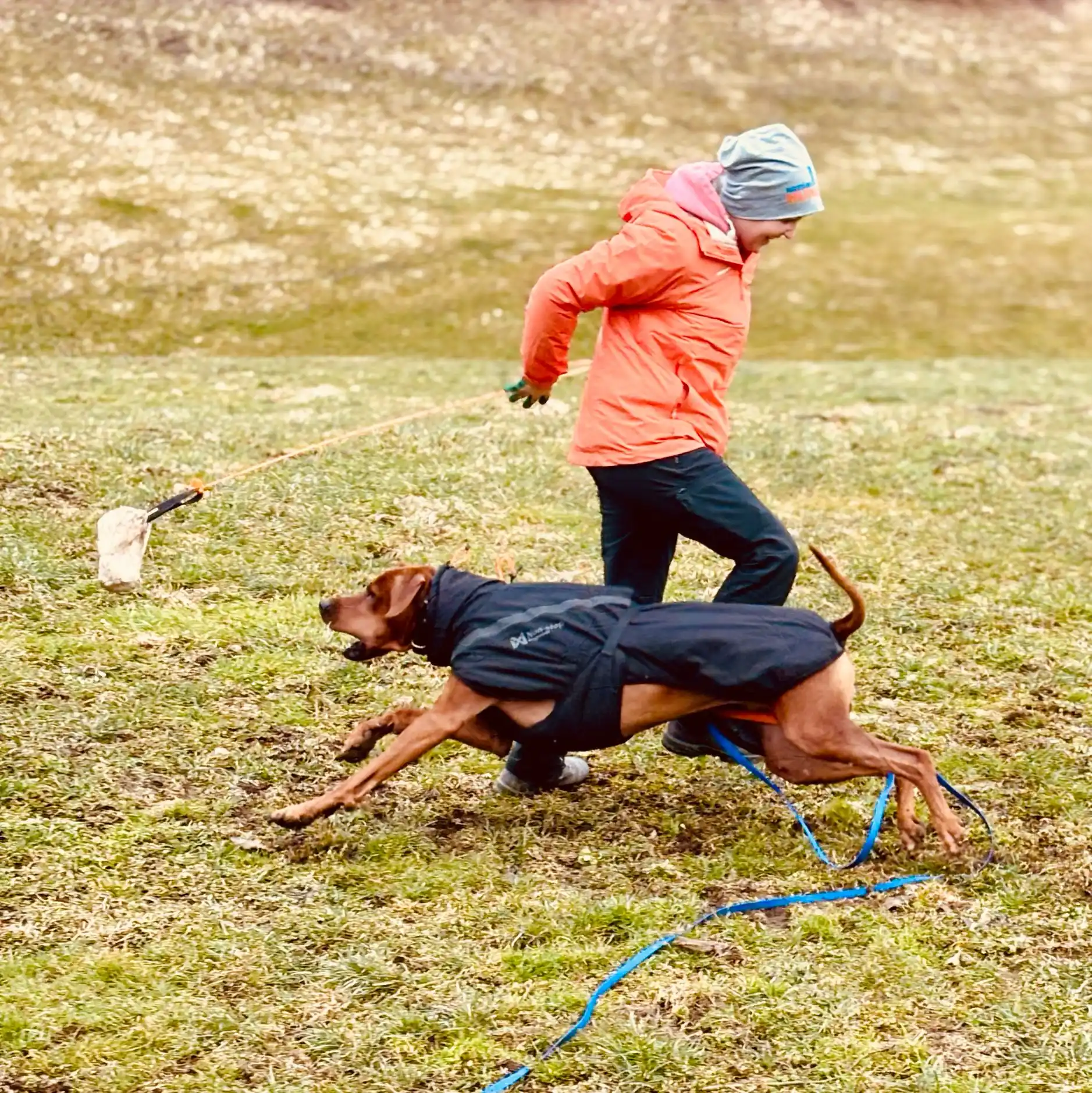 Natürlich-Hund post