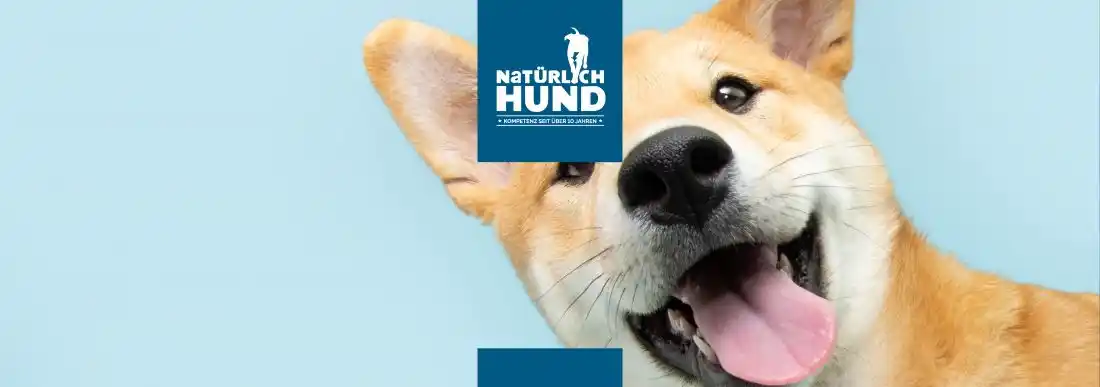 Natürlich-Hund post