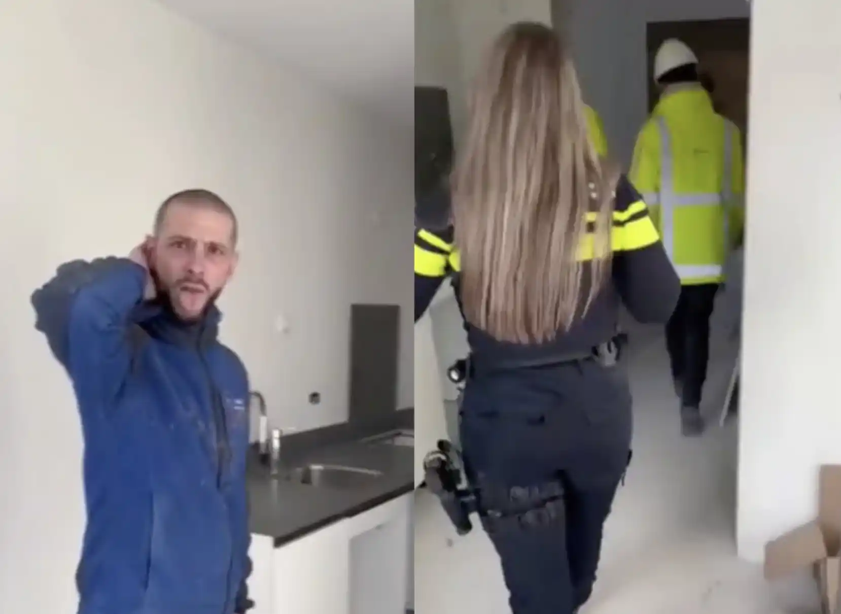 نبض هولندا post