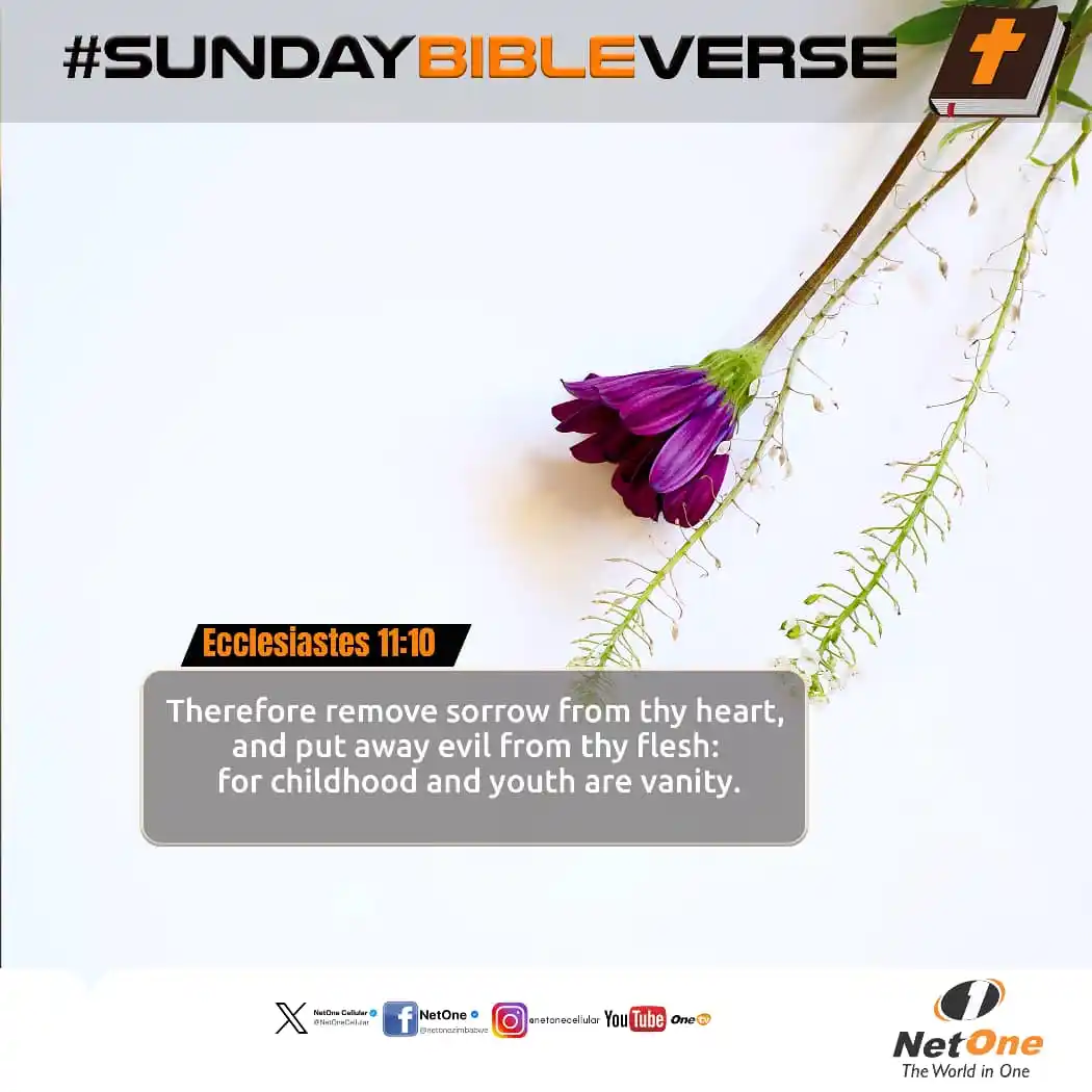 Image from NetOne Cellular Zimbabwe: <a class="text-blue-500 hover:underline cursor-pointer" href="/hashtag...
