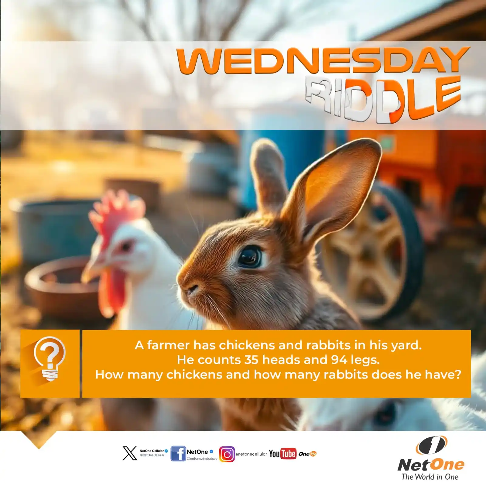 Image from NetOne Cellular Zimbabwe: <a class="text-blue-500 hover:underline cursor-pointer" href="/hashtag...