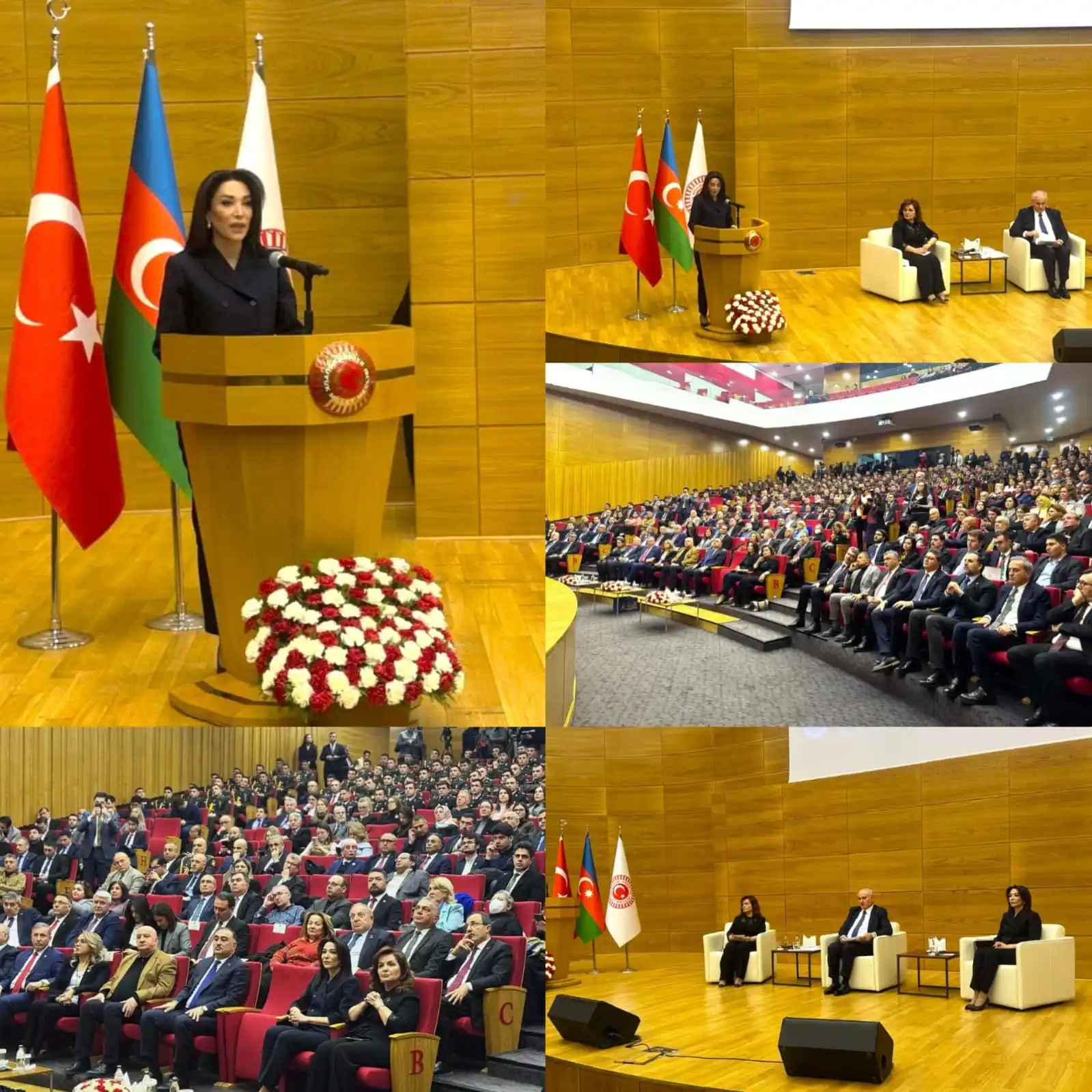 Ombudsman🇦🇿 Səbinə Əliyeva post
