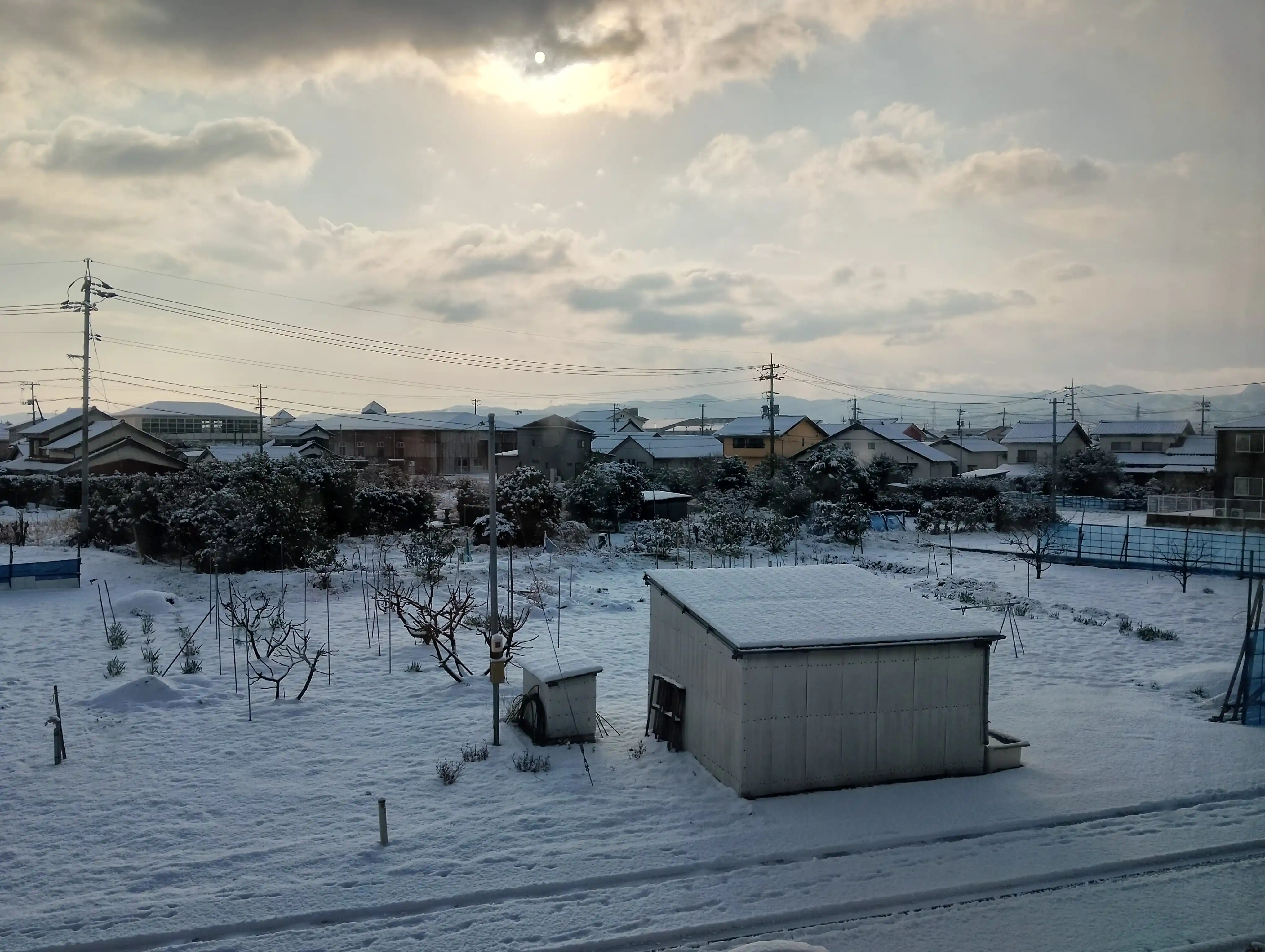 Otodidak日本語 🇯🇵 post