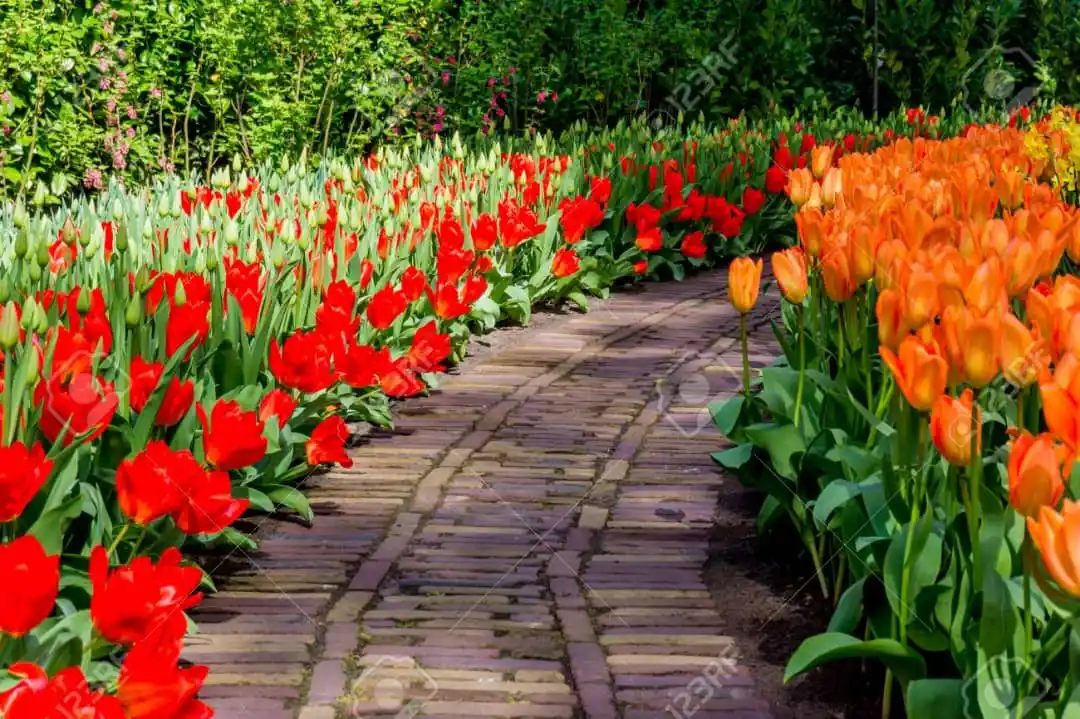 🥺 ℭœur 𝔅risé 💔😓 ℭonseil 🫵 𝔏eçon 𝔇e 𝔙ie 🌹𝔐otivation 🧠 post