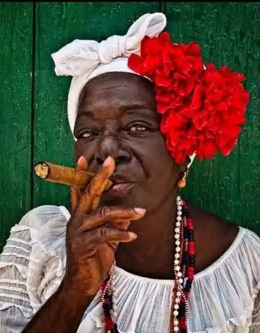 Image from Pwezi Libète: Ribrik <a class="text-blue-500 hover:underline cursor-pointer" href="/...